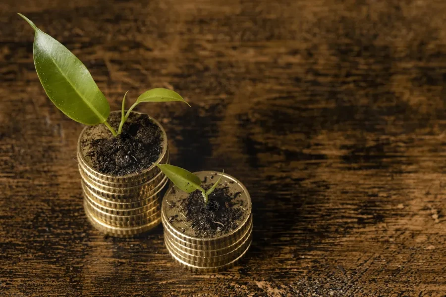  Saiba como escolher produtos de investimento sustentável